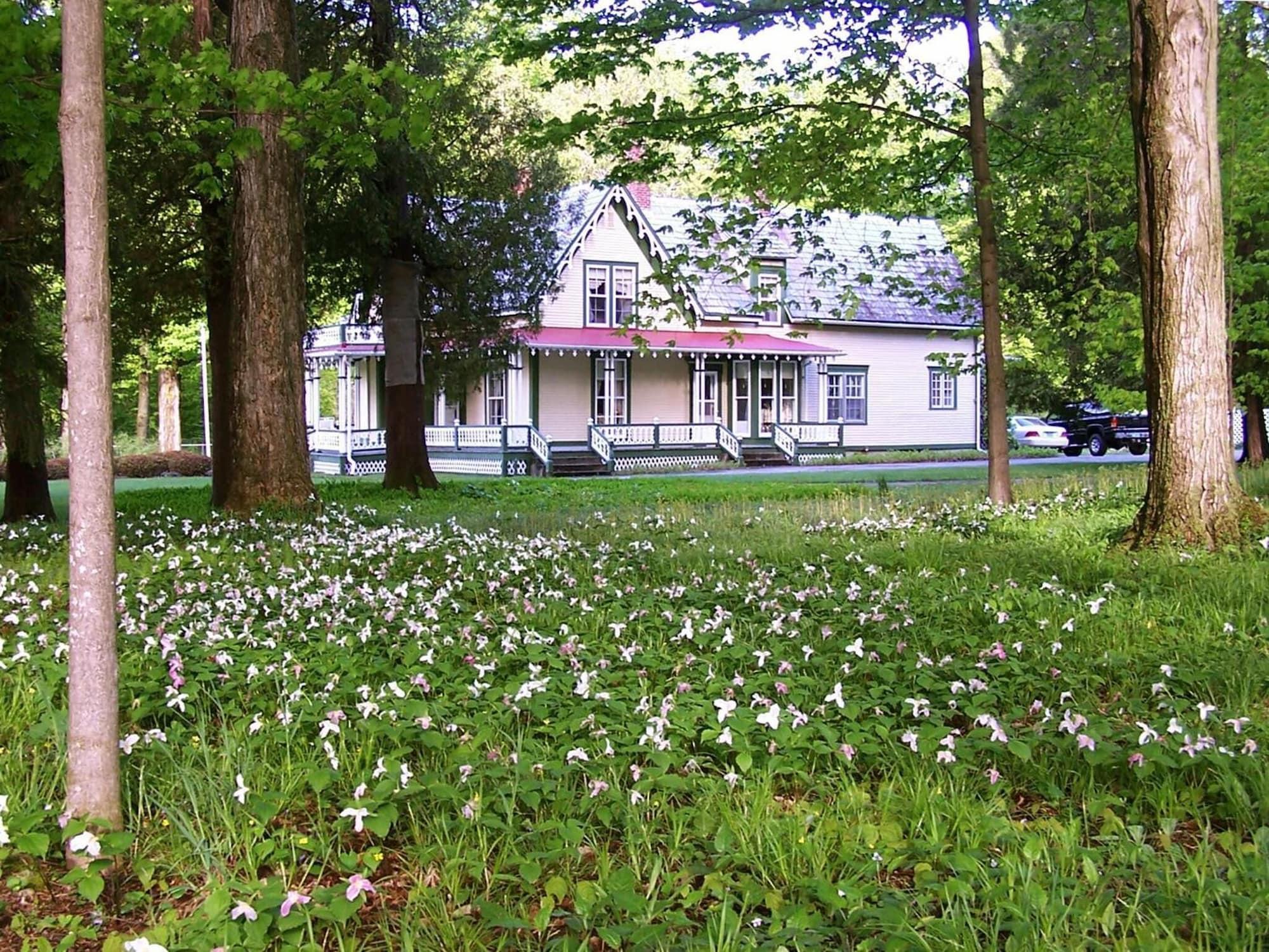 Comodidades del Alojamiento Dream House Country Inn