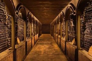 Actividad - Bodegas, Espumantes y Olivas