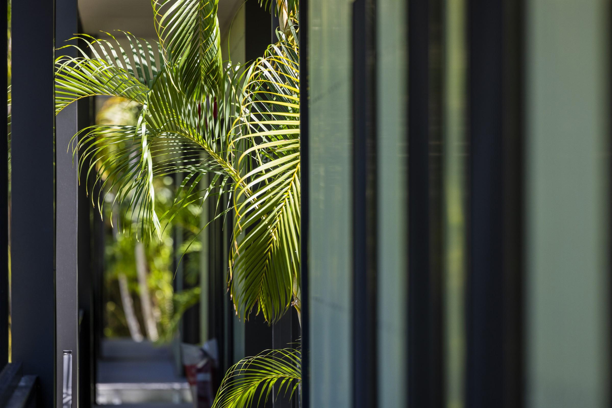 Vista Lobby Kipara Tropical Rainforest Retreat