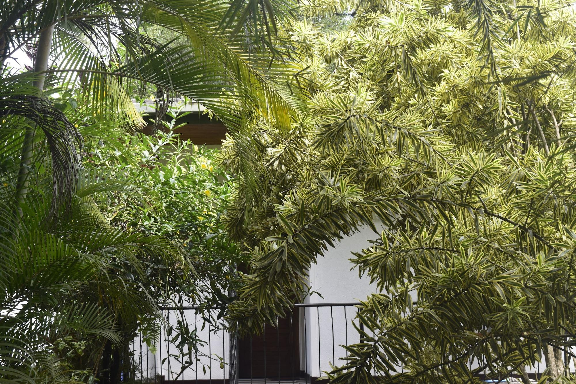 Vista Exterior Avaana By SpringHills
