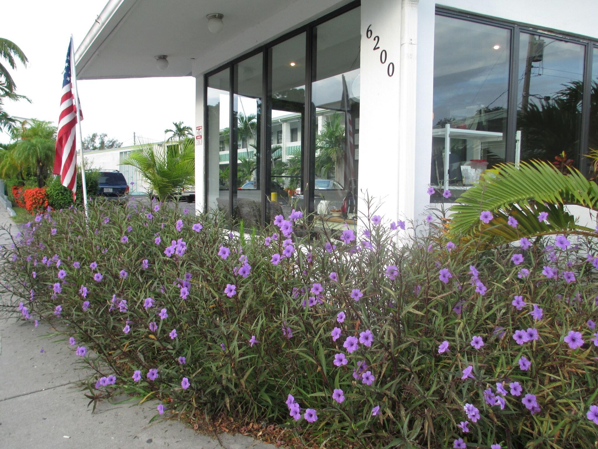 Varios Shalimar Motel