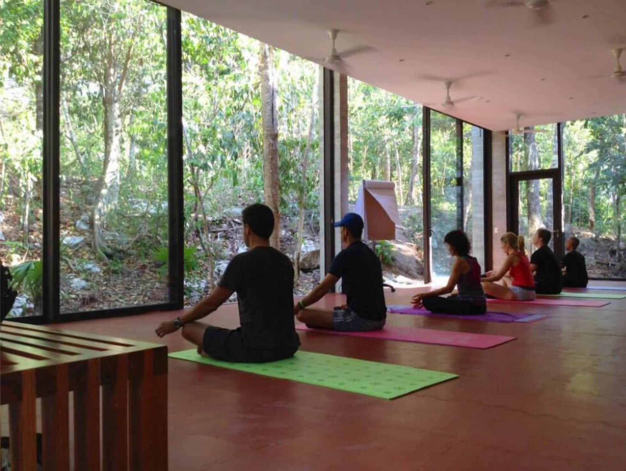 Gimnasio TAO Modern Retreat