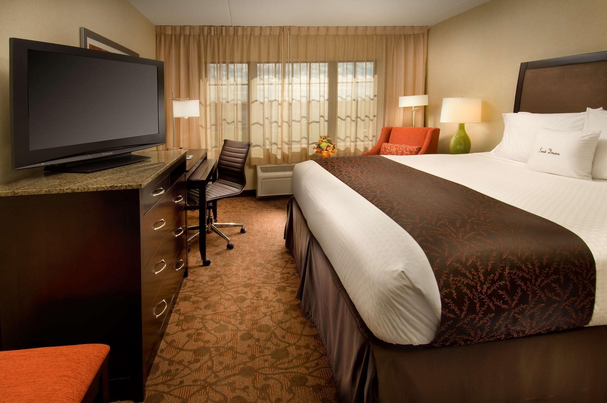 Habitación DoubleTree by Hilton Sterling - Dulles Airport