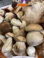 Alojamiento - Albergo Ristorante La Torretta