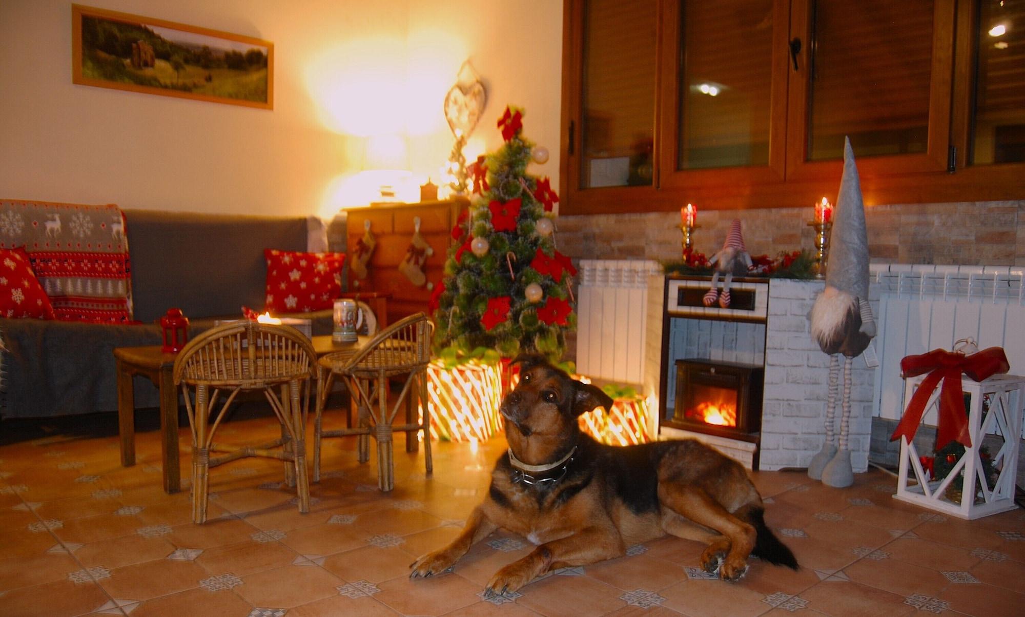 Vista Lobby LAS MIMOSAS DEL NALON