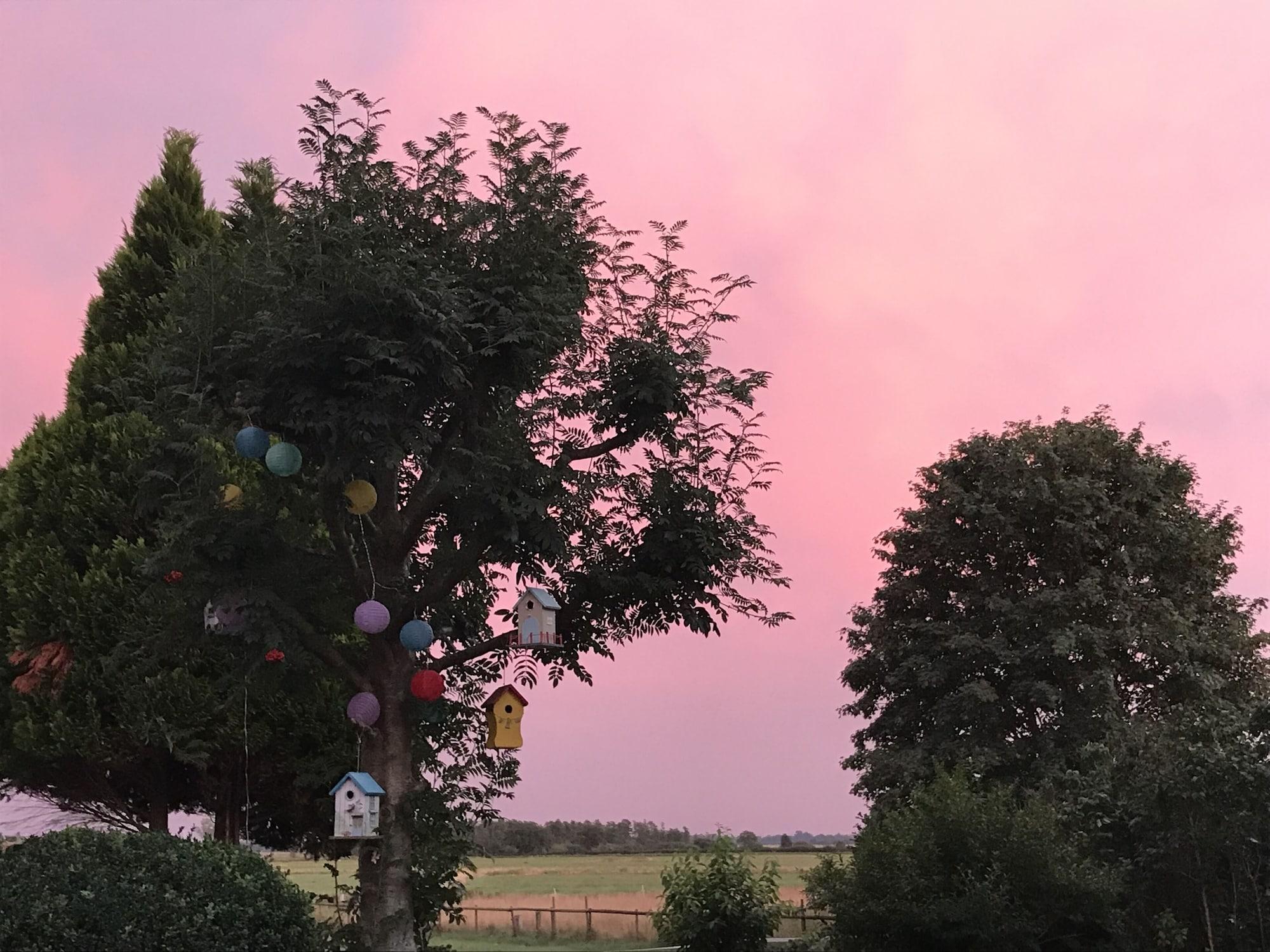Varios Worpsweder Blick