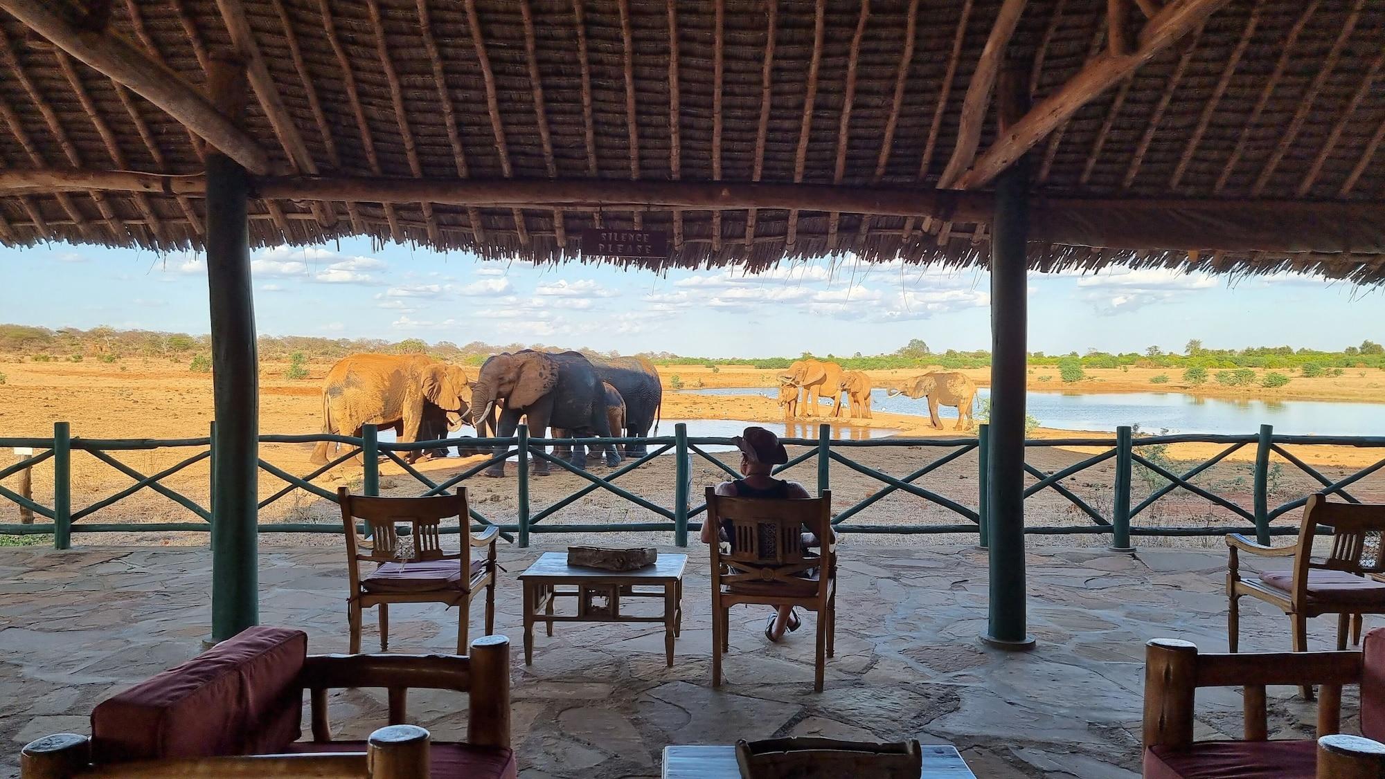 Vista Exterior Voi Wildlife Lodge