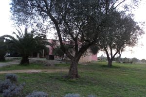 Alojamiento - B&B Ulivi d'Argento