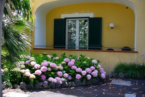 Paquete - Hotel La Marticana