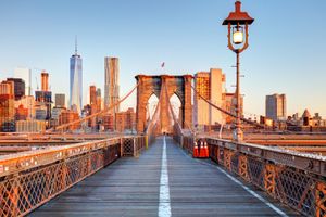 Actividad - Visita guiada por los distritos de Nueva York: Brooklyn, Bronx, Harlem y Queens con Coney Island