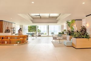 Alojamiento - HOTEL DELFINO TARANTO