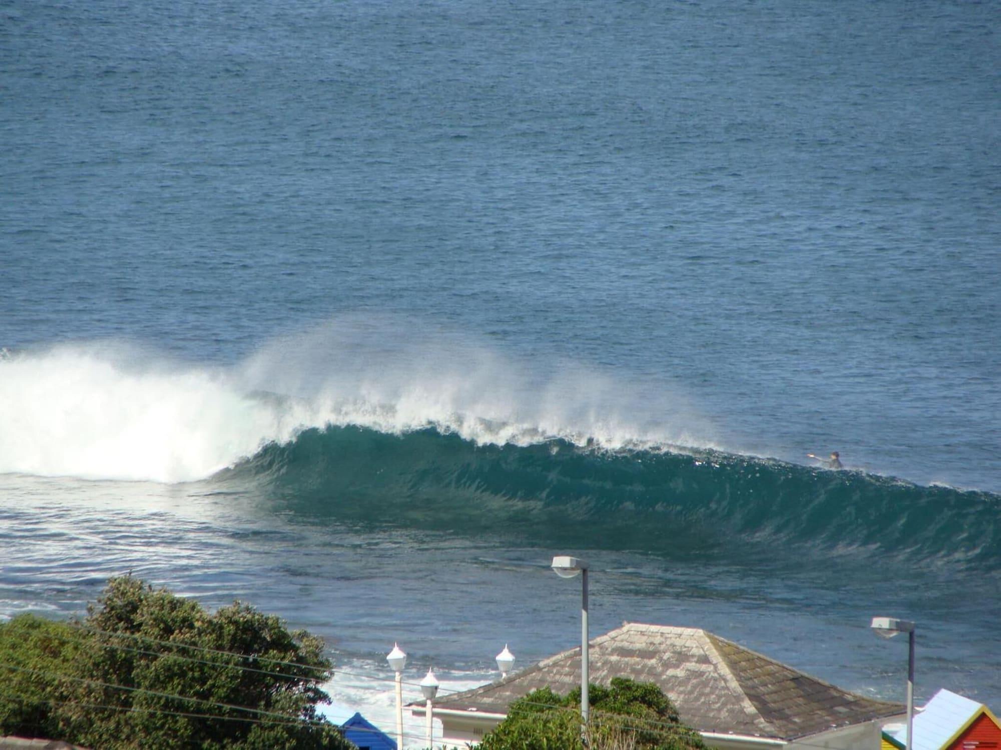 Playa Blue On Blue Bed and Breakfast