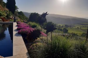 Alojamiento - Il Burellino Wine & Resort