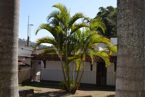 Alojamiento - Pousada das Rosas