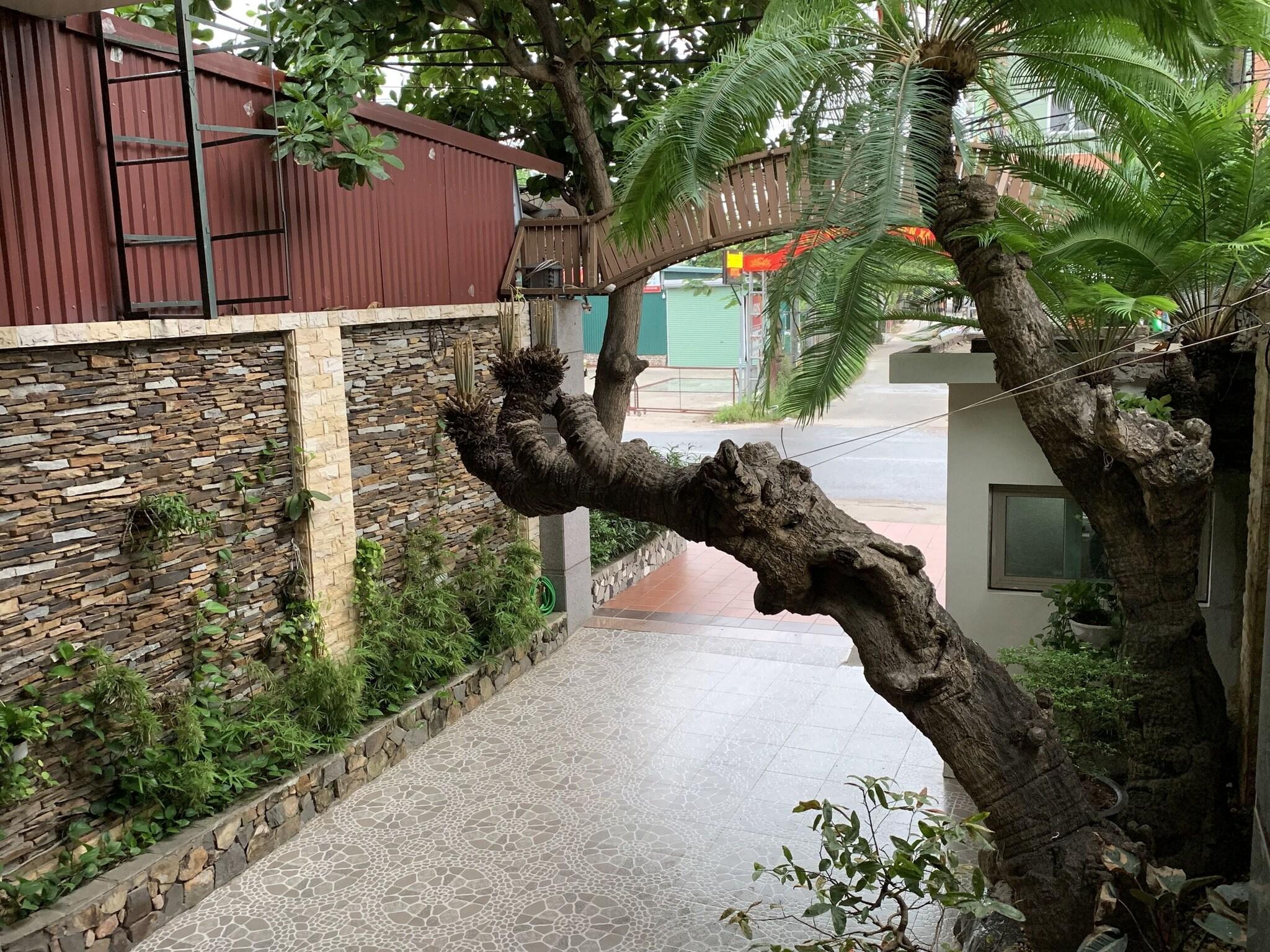 Vista Exterior Chio Hotel and Apartment