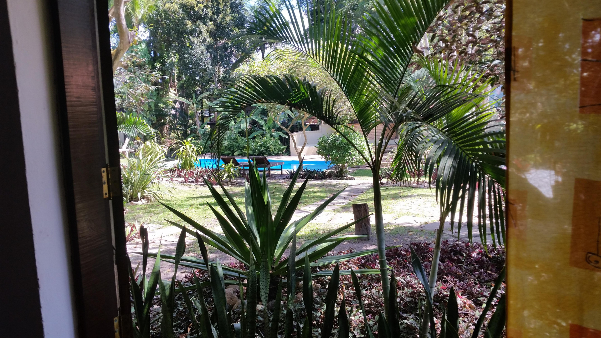 Vista Piscina Jardim da Praia