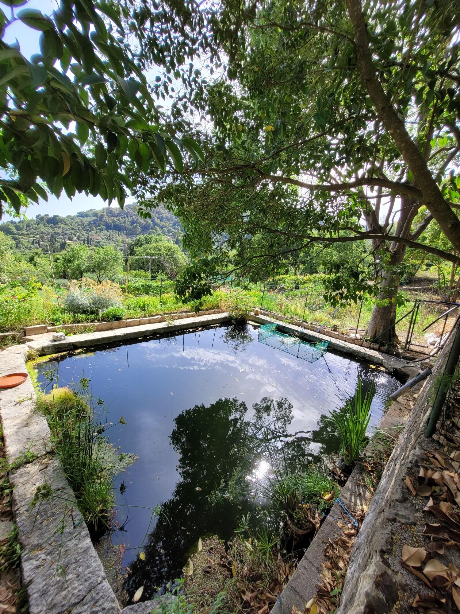 Vista Exterior Domaine de la Cascade Parfumée