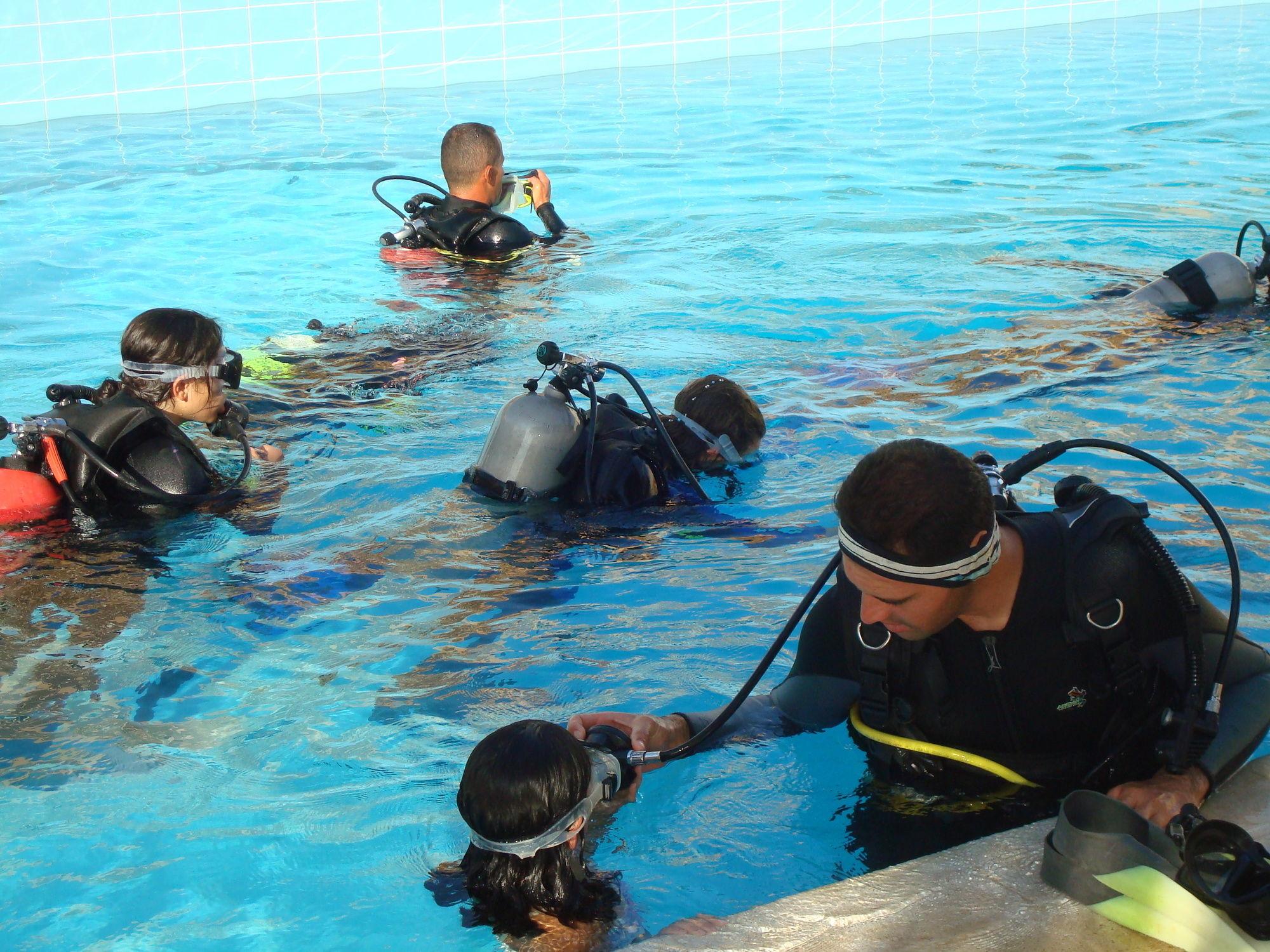 Vista Piscina Red Sea Dive Center - Hotel & Dive Center