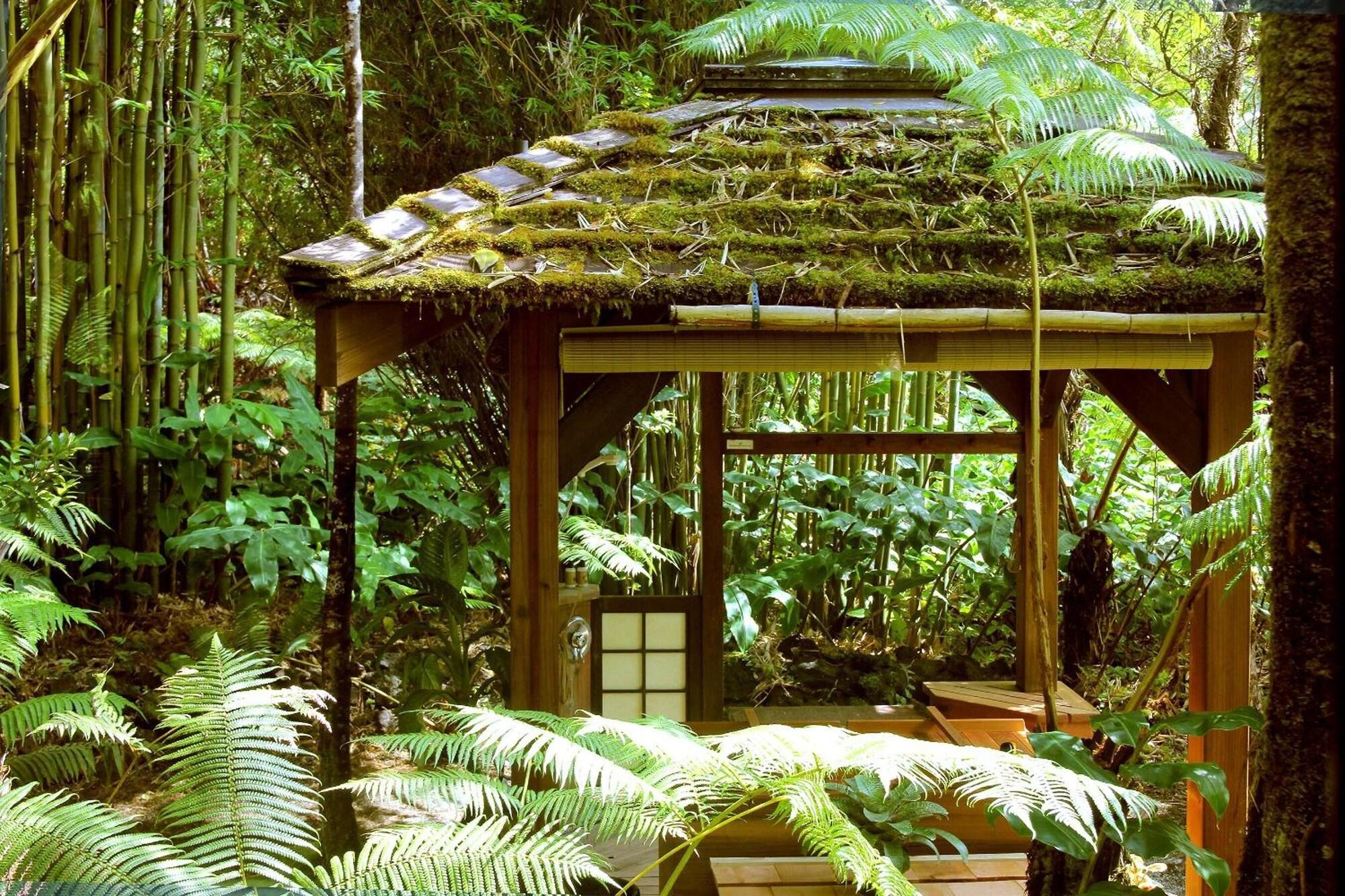 Comodidades del Alojamiento Volcano Rainforest Retreat