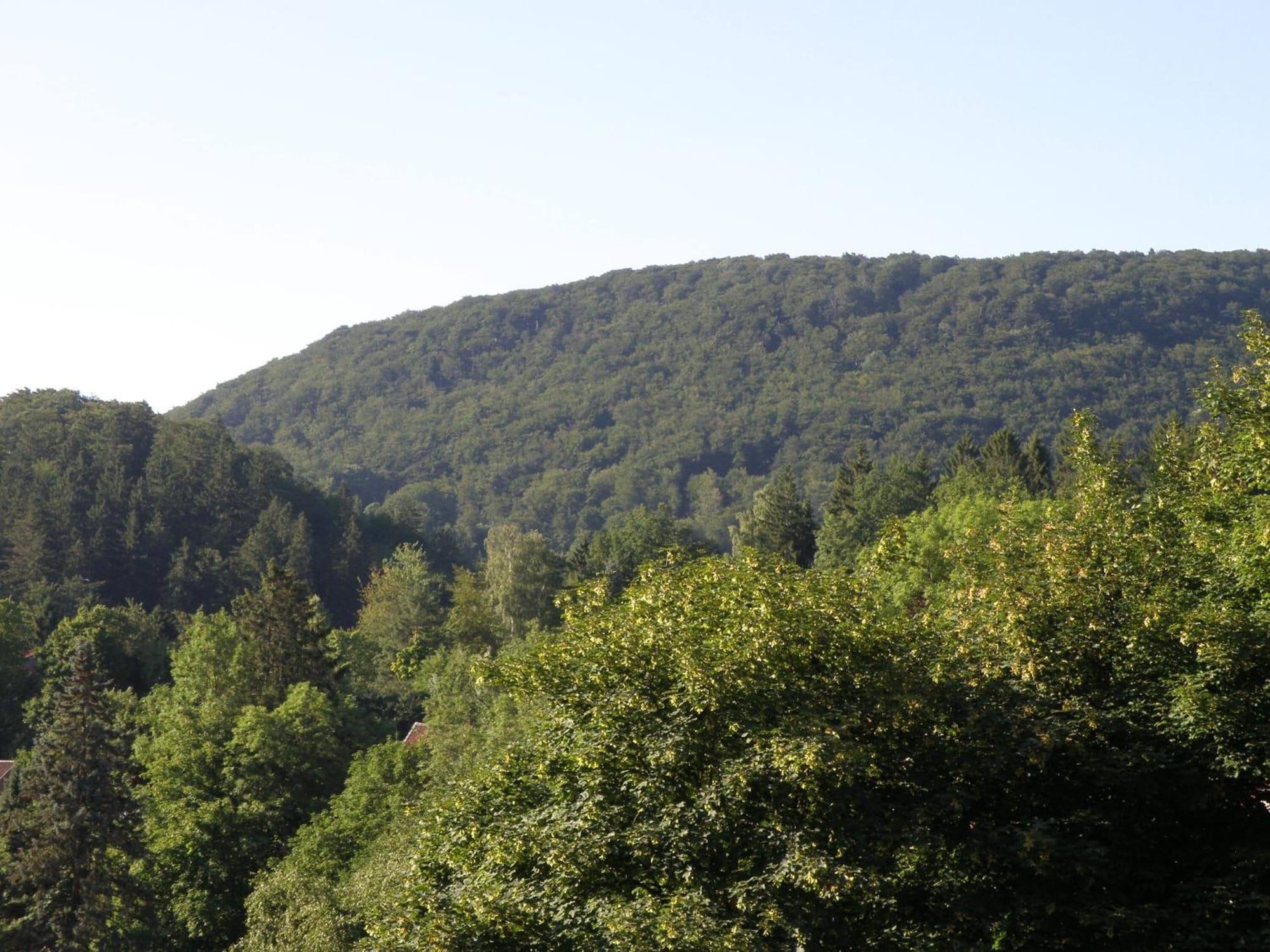 Vista Exterior Pension Hamburg