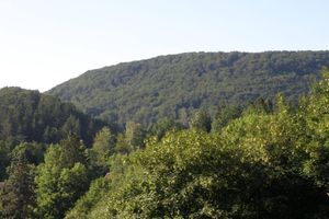 Alojamiento - Pension Hamburg