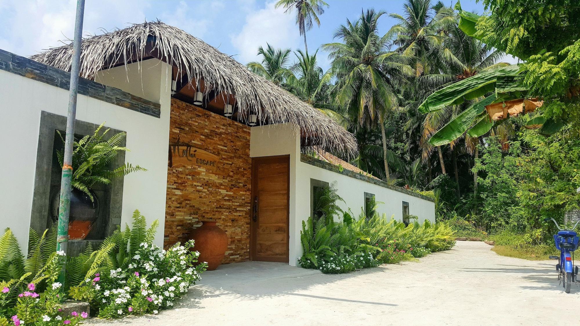 Vista Exterior Nolhi Escape