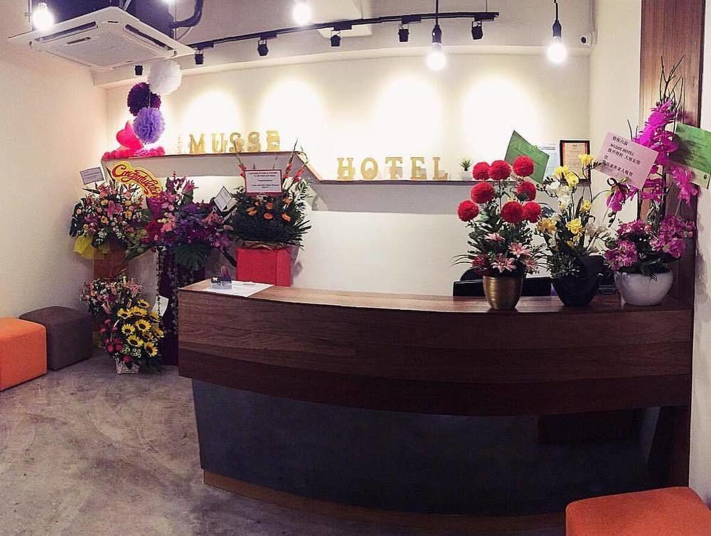 Vista Lobby Musse Hotel