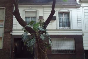 Alojamiento - Belgrano Hostel