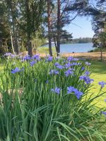 Alquiler Vacacional - On the sea The Sail House on the island of Sarvisalo in the Porvoo archipelago