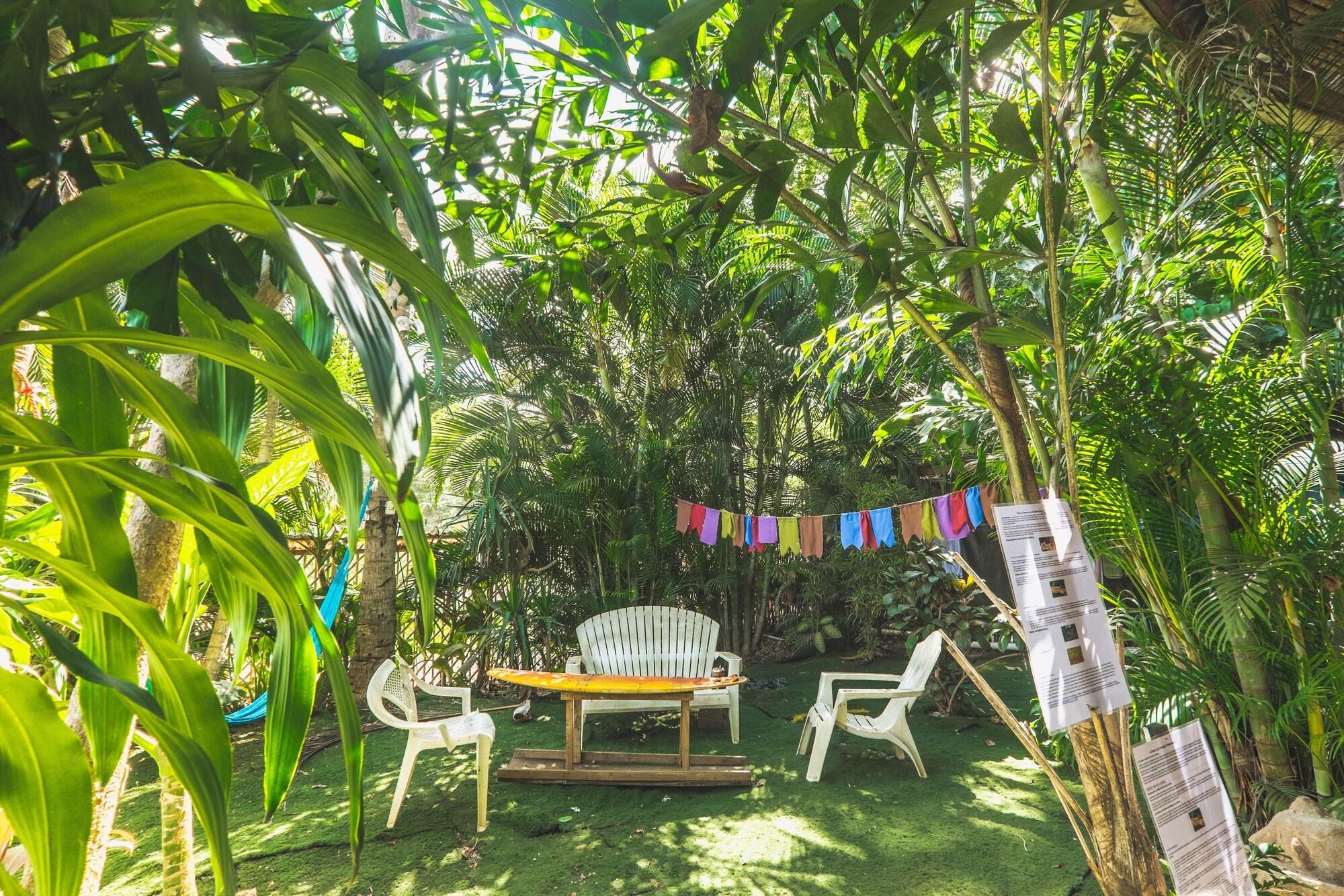 Bar/Salón Pura Vida Hostel