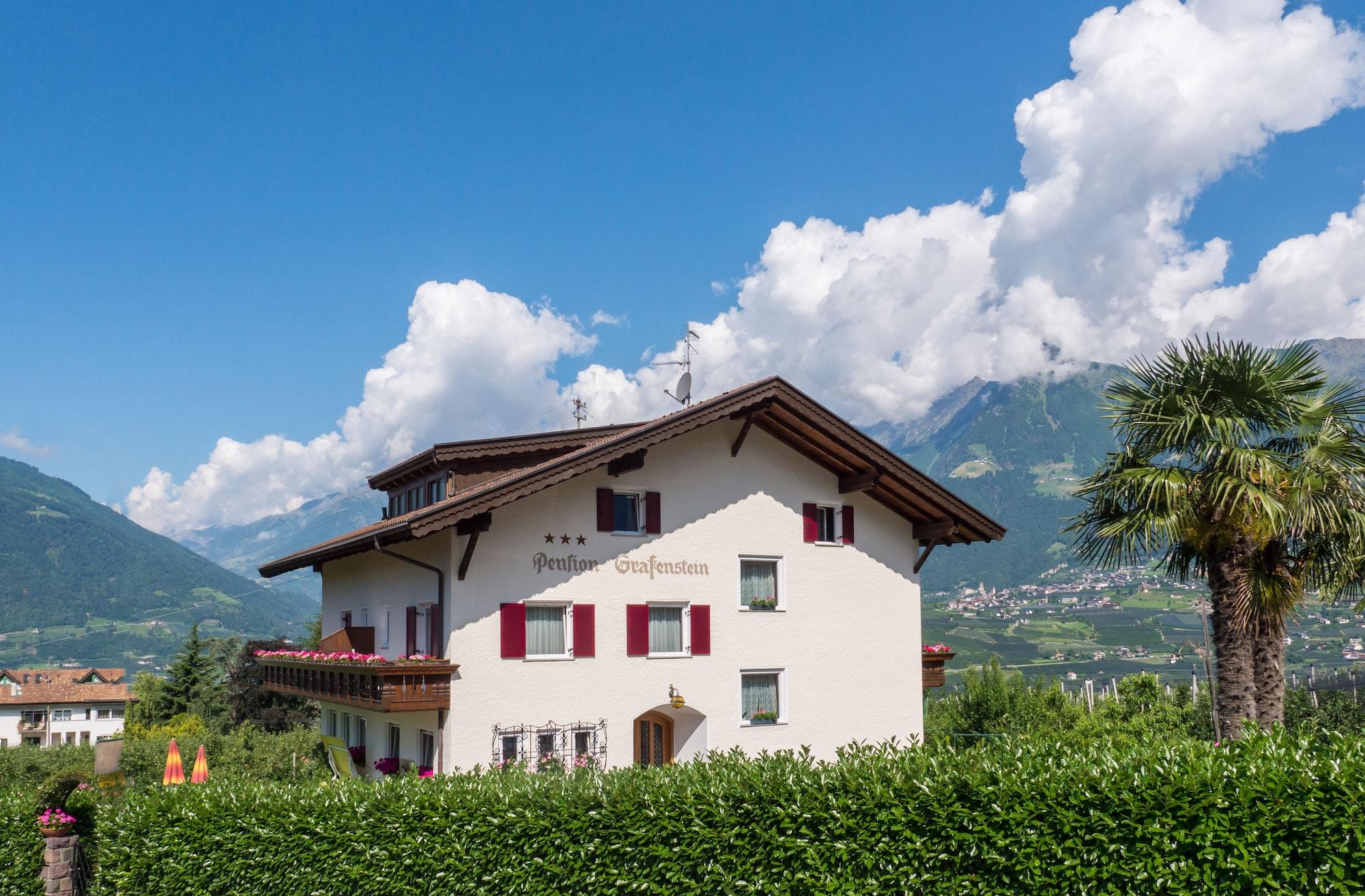 Vista Exterior Guesthouse Pension Grafenstein