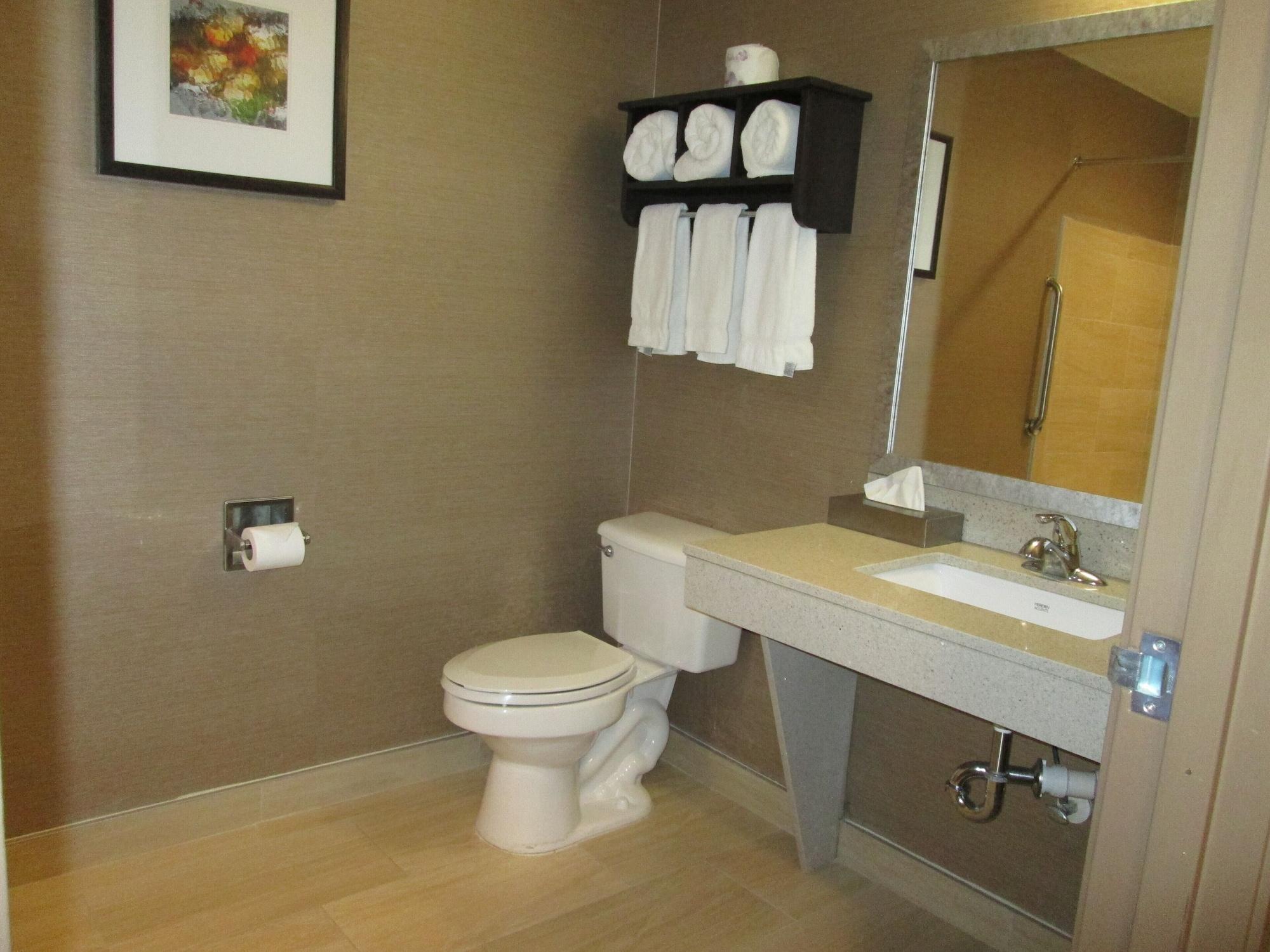 Habitación Holiday Inn Express Cloverdale - (Greencastle) by IHG