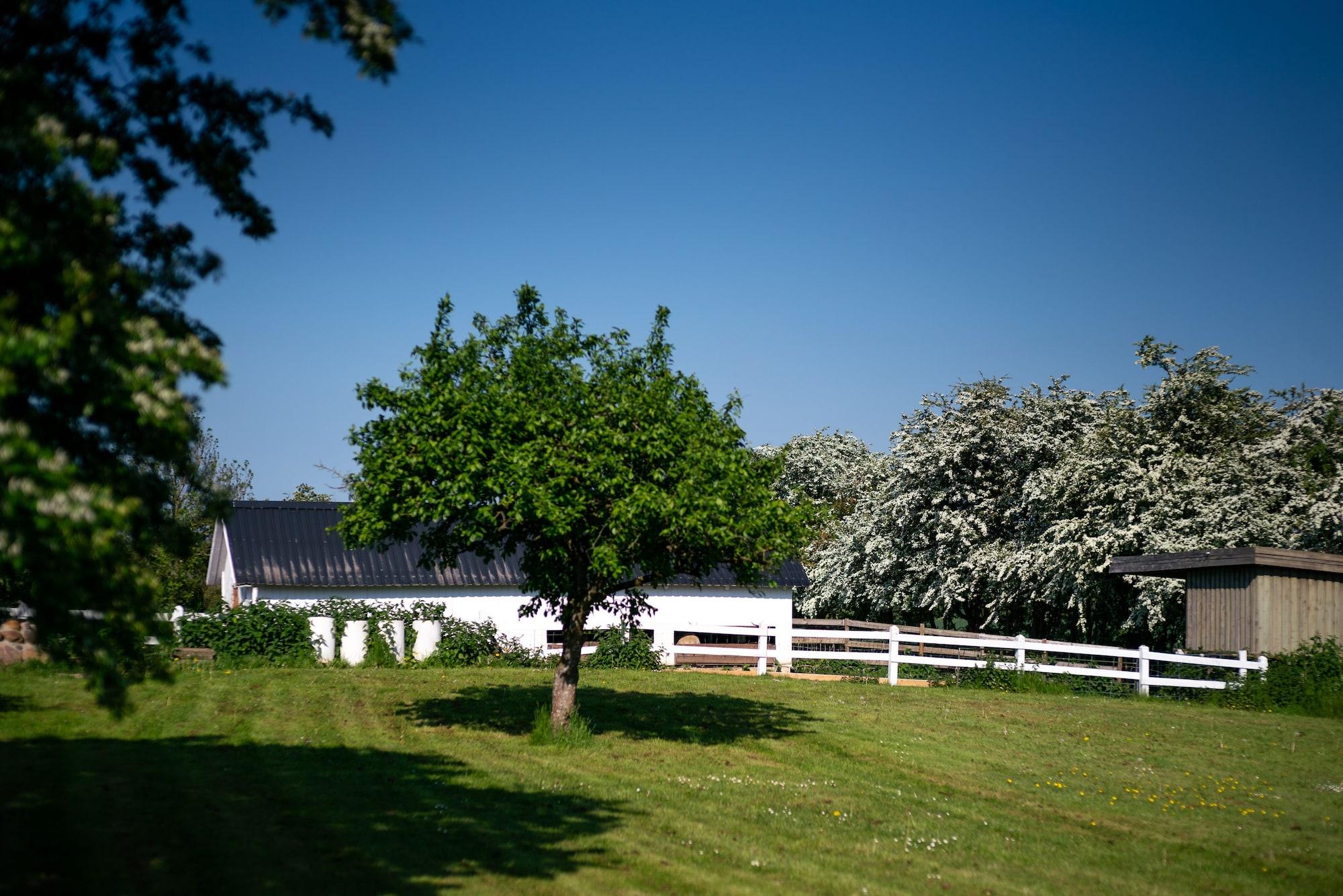 Instalaciones Recreativas Den Gamle Grænsekro