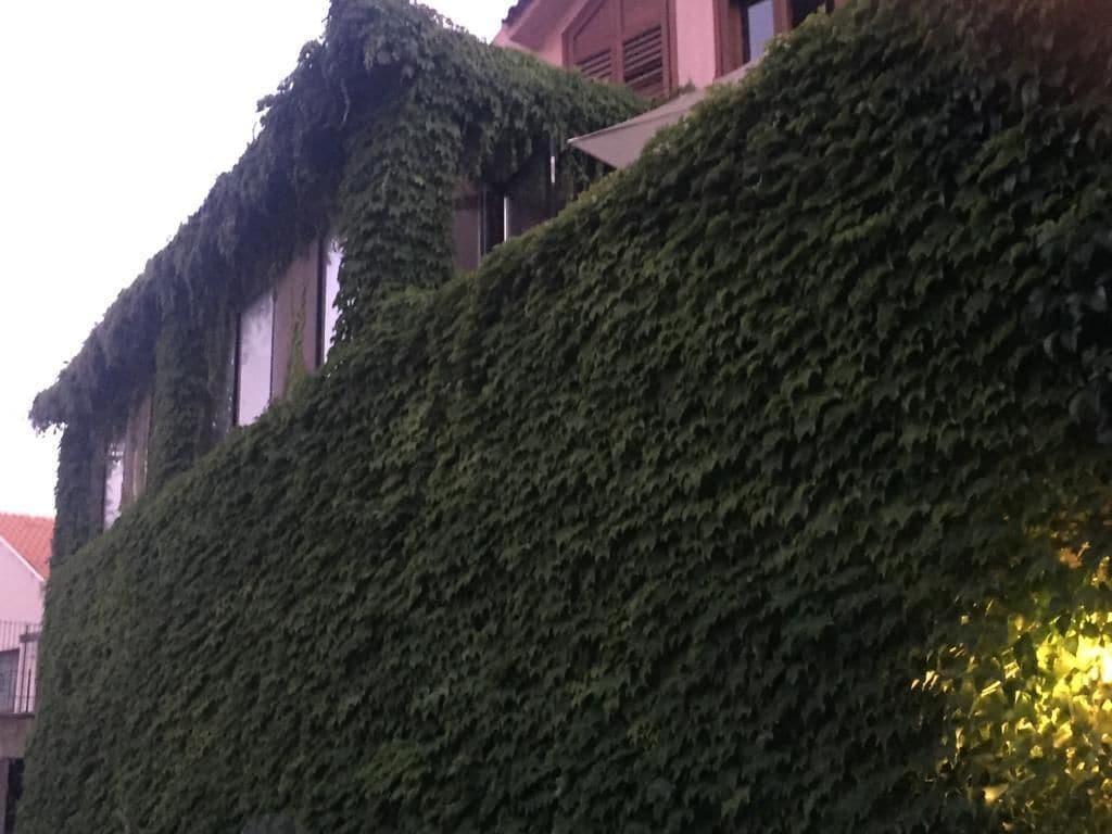 Vista Exterior Villa Grande