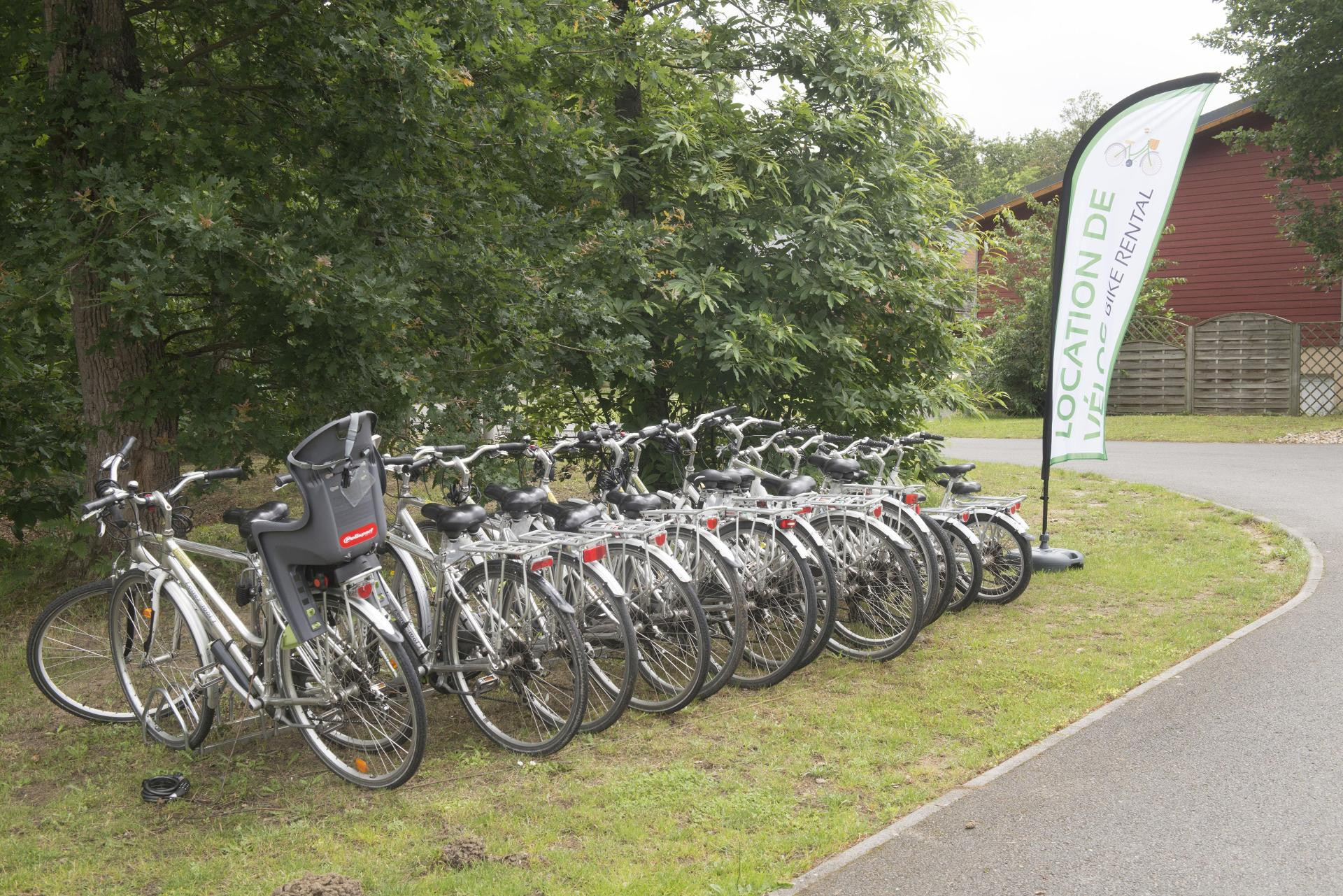 Instalaciones Recreativas Relais du Plessis - Vacanceole