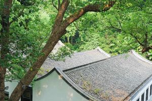 Alojamiento - Nostalgia S Hotel(Hangzhou West Lake）