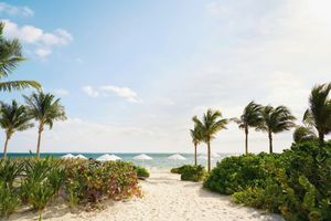 Hoteles Frente al Mar en Playa Mujeres Todo Incluido