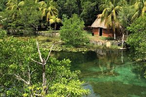 Actividad - Excursión a Los Petenes en lancha rápida
