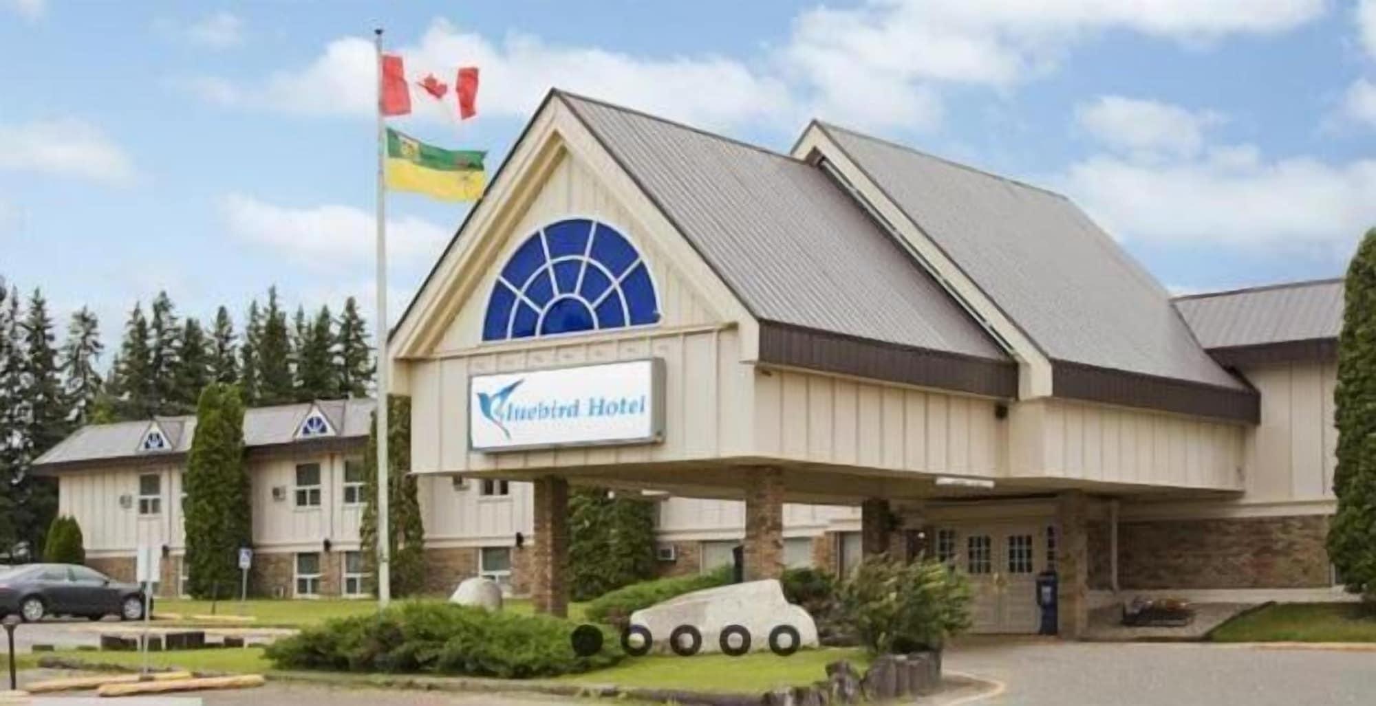 Vista Exterior Bluebird Hotel
