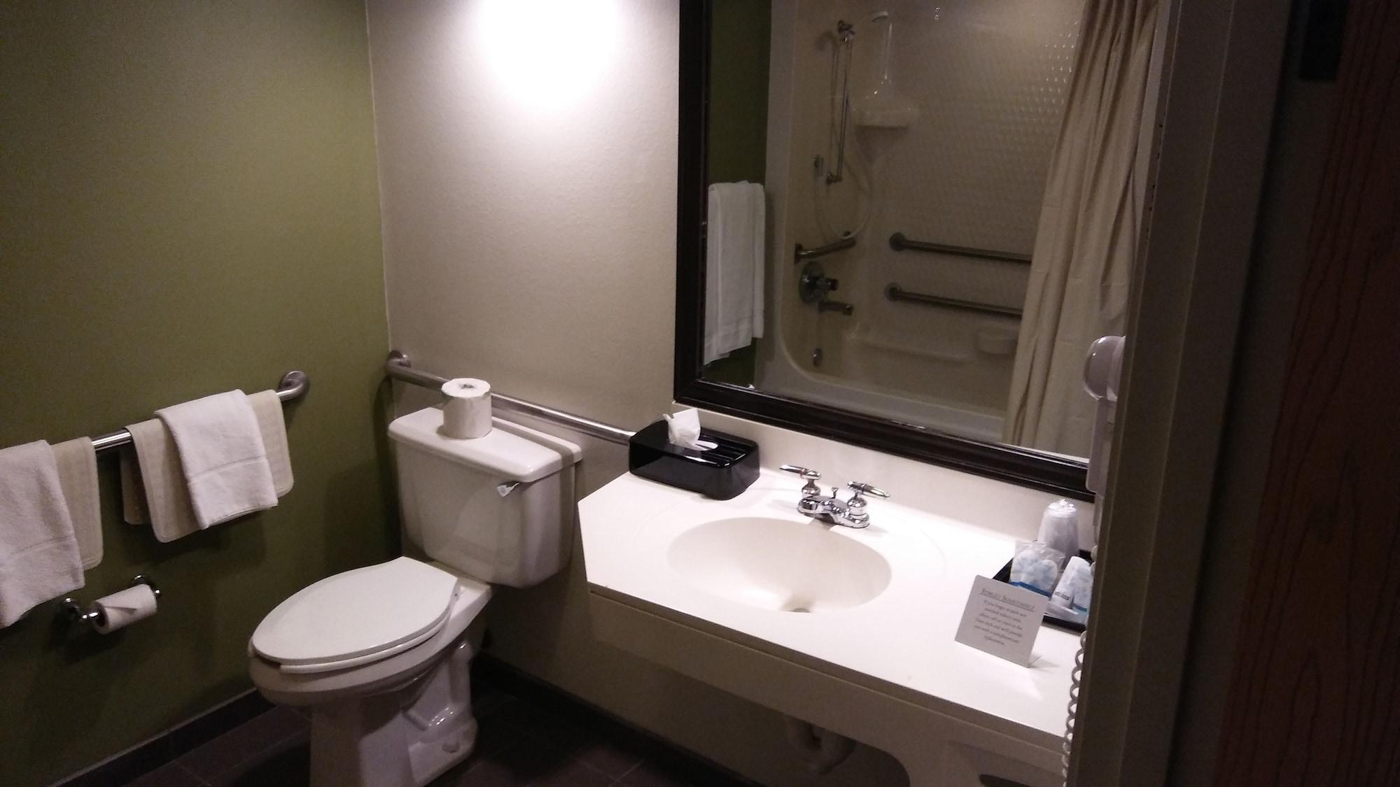 Equipamiento de Habitación Econo Lodge Amarillo East