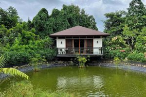 Alojamiento - Casa Grande Flora Villas and Resort