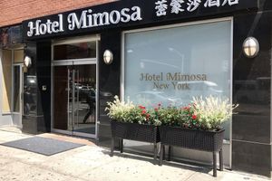 Alojamiento - Hotel Mimosa