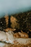 Alquiler Vacacional - The garden house is located within the grounds of the  historic Villa Meleto