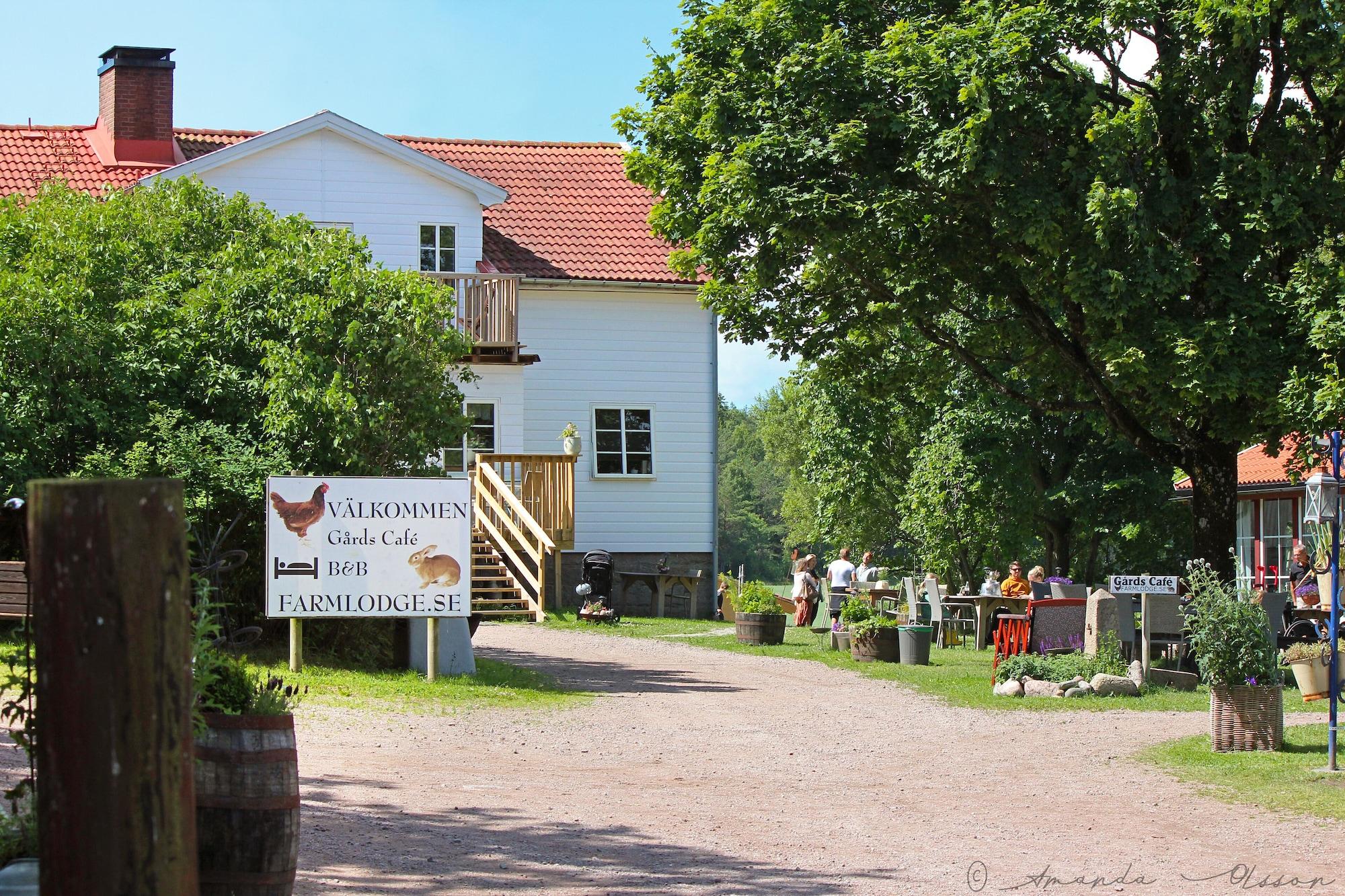Vista Lobby Farmlodge