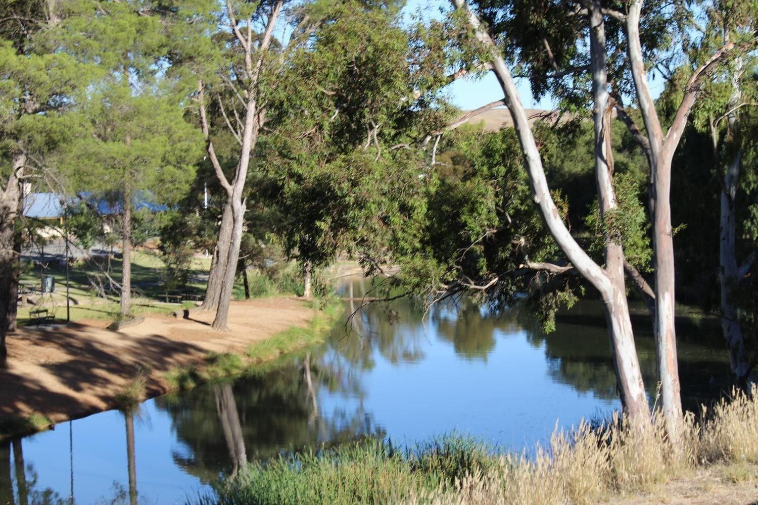 Comodidades del Alojamiento Royal Exchange Hotel