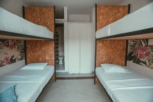 Alojamiento - HOSTAL PURA VIDA LA 70