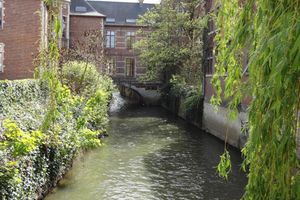 Alojamiento - Hotel Malon