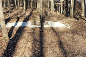 Alquiler Vacacional - Quiet and Comfy cabin at Patoka Lake