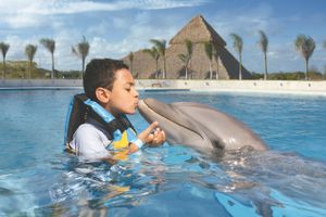 Actividad - Punta Cana: Encuentro con Delfines con transporte