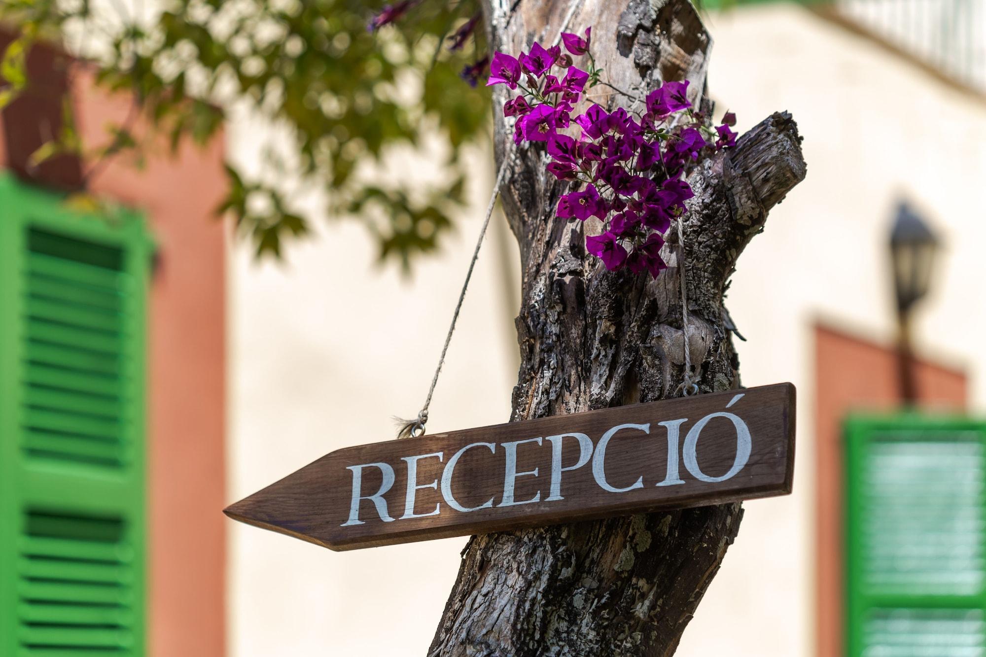 Vista Lobby Agroturismo sa Rota den Palerm